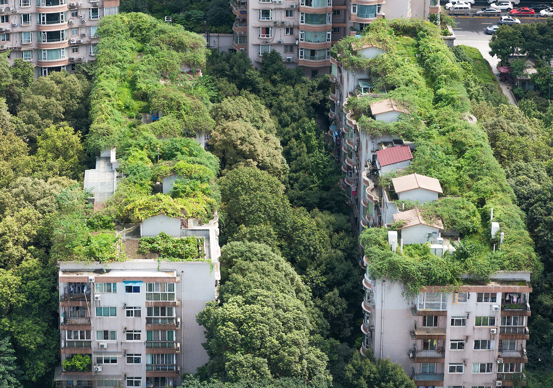 Green Architecture is Inevitable if We Are to Fight Climate Change