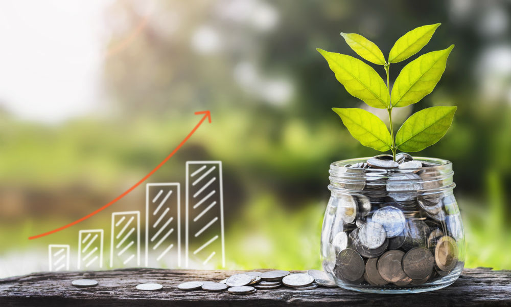 Grow Your Money Without Watching the Ticker Every Day